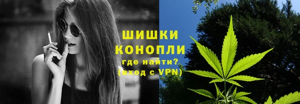 a pvp Белокуриха