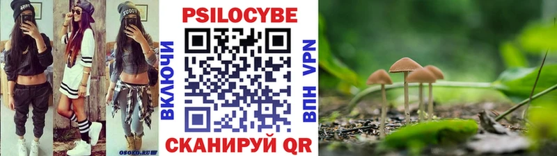 купить наркотики цена  Городовиковск  Галлюциногенные грибы Psilocybe 